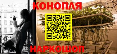 спайс Дубна