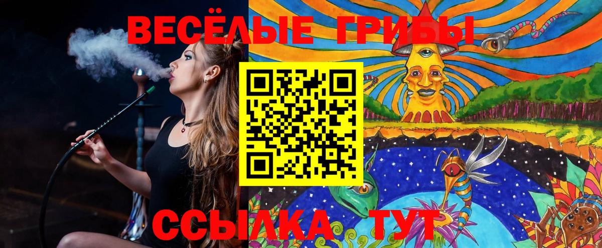 цены наркотик  Псилоцибиновые грибы Magic Shrooms  Вход с VPN  Минеральные Воды 