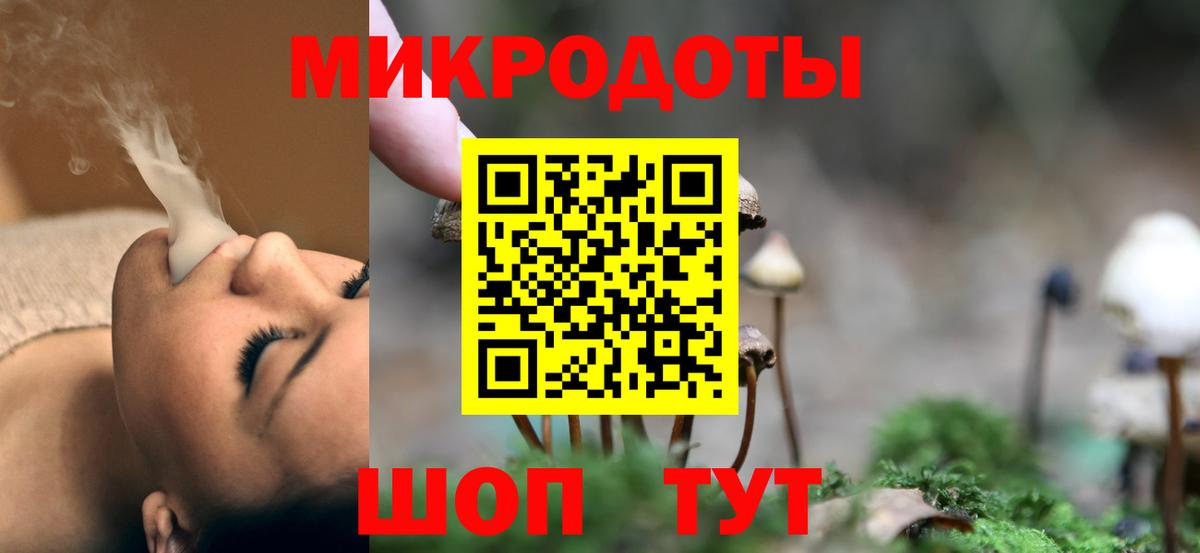 Псилоцибиновые грибы Psilocybine cubensis Минеральные Воды